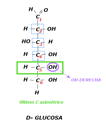 Estructura de la D glucosa