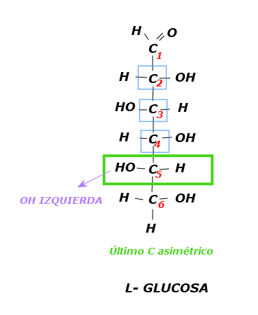 Estructura de la L glucosa