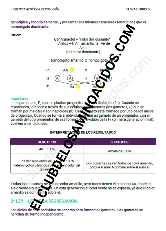 HERENCIA GENÉTICA Y EVOLUCIÓN - Imagen 3