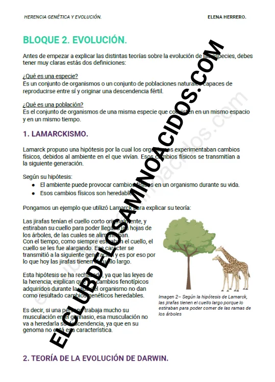 HERENCIA GENÉTICA Y EVOLUCIÓN - Imagen 4