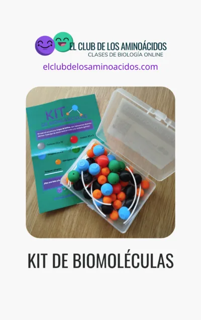 Este Kit de biomoléculas es todo lo que necesitas para entender las estructuras de los compuestos orgánicos: isómeros...