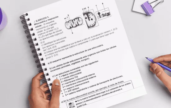 Exámenes PAU química y biología. Ejercicios resueltos selectividad.